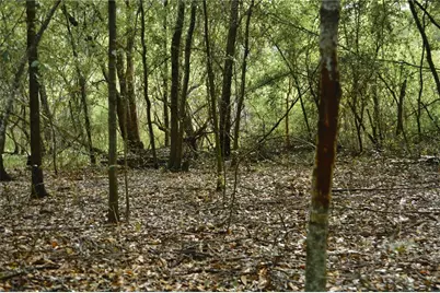 00 50th St, Live Oak, FL 32060 - Photo 37