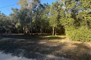 0 SW 150th, Ocala, FL 34481 - Photo 1