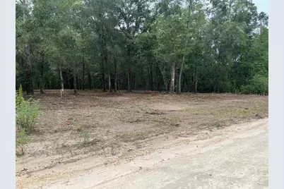 0 SW 150th, Ocala, FL 34481 - Photo 3