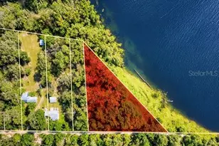 Tbd NE 245th Street Rd, Fort Mc Coy, FL 32134 - Photo 1