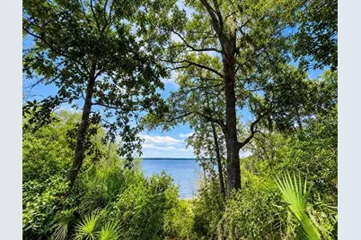 Tbd NE 245th Street Road, Fort Mc Coy, FL 32134 - Photo 3