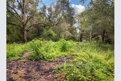 5900 NW 190th Street, Reddick, FL 32686 - Photo 5