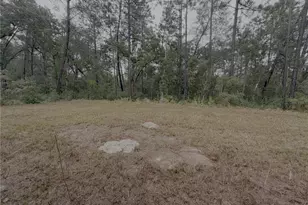 15153 SW 61st Ct Rd, Ocala, FL 34473 - Photo 25