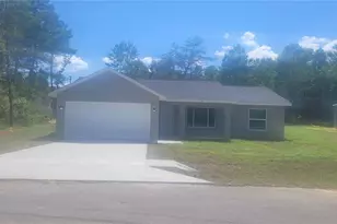 62 Fisher Trail, Ocklawaha, FL 32179 - Photo 1