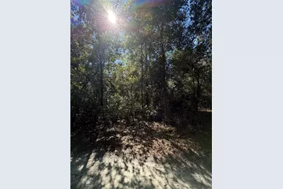 Tbd SW 151st Place, Dunnellon, FL 34432 - Photo 1