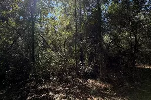 Tbd SW 151st Pl, Dunnellon, FL 34432 - Photo 1