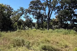 16612 SE 25th Ave, Summerfield, FL 34491 - Photo 1
