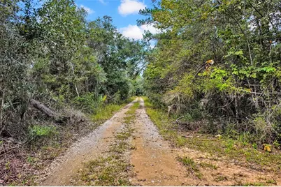 122 Tract SW Buck Trail Rd, Chiefland, FL 32626 - Photo 73