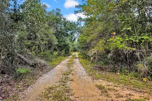 122 Tract SW Buck Trail Rd, Chiefland, FL 32626 - Photo 73
