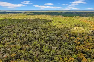 122 Tract SW Buck Trail Rd, Chiefland, FL 32626 - Photo 59