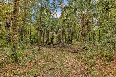 122 Tract SW Buck Trail Rd, Chiefland, FL 32626 - Photo 55