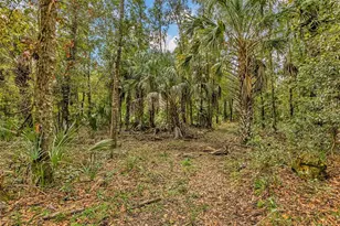 122 Tract SW Buck Trail Rd, Chiefland, FL 32626 - Photo 55