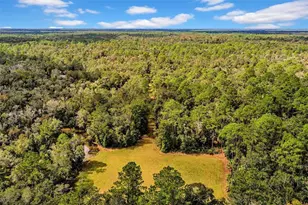 122 Tract SW Buck Trail Rd, Chiefland, FL 32626 - Photo 67