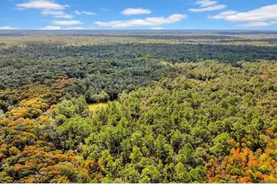 122 Tract SW Buck Trail Rd, Chiefland, FL 32626 - Photo 65