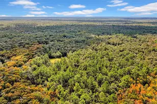 122 Tract SW Buck Trail Rd, Chiefland, FL 32626 - Photo 65