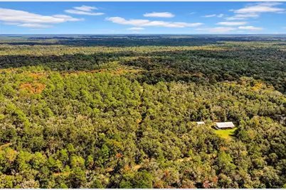 122 Tract SW Buck Trail Rd, Chiefland, FL 32626 - Photo 61
