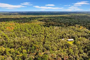 122 Tract SW Buck Trail Rd, Chiefland, FL 32626 - Photo 61