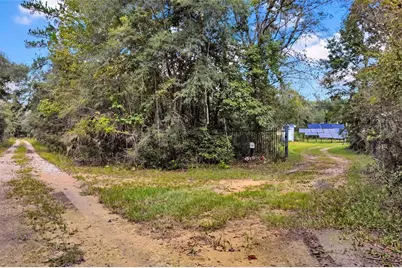 122 Tract SW Buck Trail Rd, Chiefland, FL 32626 - Photo 3