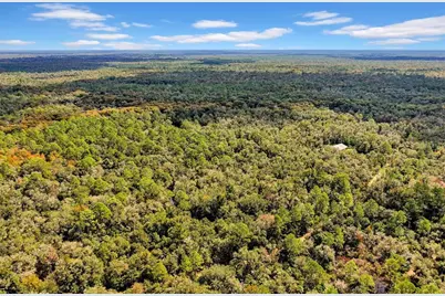 122 Tract SW Buck Trail Rd, Chiefland, FL 32626 - Photo 63