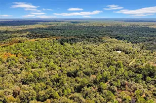 122 Tract SW Buck Trail Rd, Chiefland, FL 32626 - Photo 63