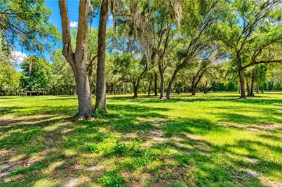 12100 NW 110th Avenue, Reddick, FL 32686 - Photo 71