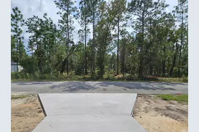 Tbd NW Tamarind Lane, Dunnellon, FL 34431 - Photo 11