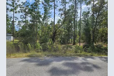 Tbd NW Tamarind Lane, Dunnellon, FL 34431 - Photo 1