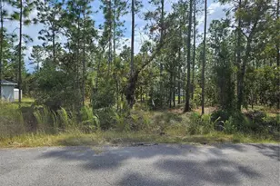Tbd NW Tamarind Ln, Dunnellon, FL 34431 - Photo 1