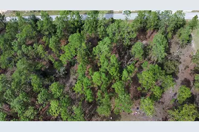 Tbd NW Tamarind Lane, Dunnellon, FL 34431 - Photo 5