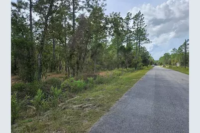 Tbd NW Tamarind Lane, Dunnellon, FL 34431 - Photo 9
