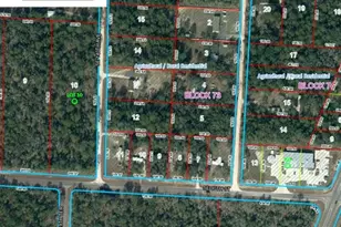 SE 30th St, Morriston, FL 32668 - Photo 1