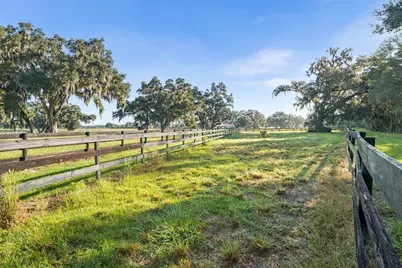 000 SW 140th Loop, Dunnellon, FL 34432 - Photo 7