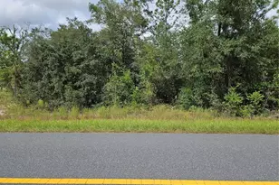 Tbd SW Beach Blvd, Dunnellon, FL 34431 - Photo 1