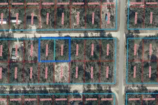Tbd NE 64th St, Williston, FL 32696 - Photo 1