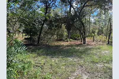 2615 SW 157th Court, Ocala, FL 34481 - Photo 65