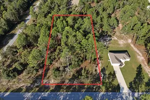 SW Admiral Landing Dr, Dunnellon, FL 34431 - Photo 1