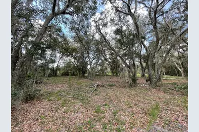 Lots 462 & 463 SW Shorewood Drive, Dunnellon, FL 34431 - Photo 5