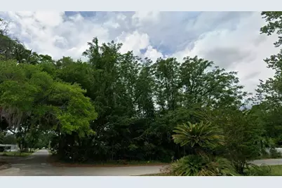 Lot 64 NE 162 Street, Citra, FL 32113 - Photo 3