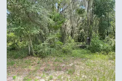 Lots 15 & 16 SW Shorewood Drive, Dunnellon, FL 34431 - Photo 1