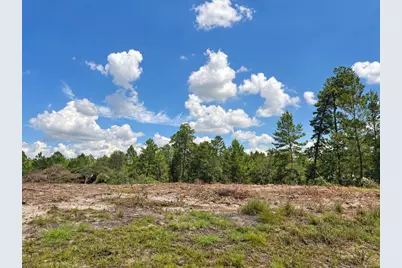 Se 128th Terrace, Morriston, FL 32668 - Photo 3