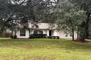 8919 N Mendoza Way, Citrus Springs, FL 34434 - Photo 1