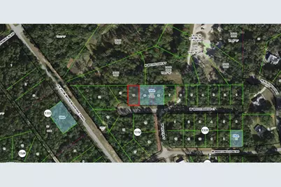 403 W Whitmarsh Court, Citrus Springs, FL 34434 - Photo 3