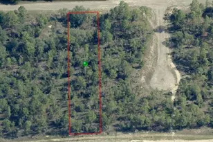 1407 W Belen Dr, Citrus Springs, FL 34434 - Photo 1