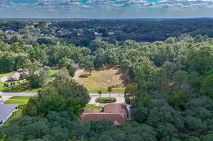 3355 W Birds Nest Dr, Beverly Hills, FL 34465 - Photo 59