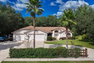 3355 W Birds Nest Dr, Beverly Hills, FL 34465 - Photo 61