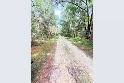000 SW 10th Pl, Ocala, FL 34481 - Photo 3