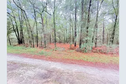 000 SW 10th Pl, Ocala, FL 34481 - Photo 1