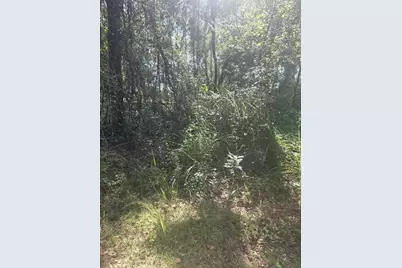 Tbd SE 136th Lane, Belleview, FL 34420 - Photo 1