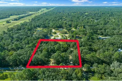 4204 W Donali Court, Homosassa, FL 34446 - Photo 47