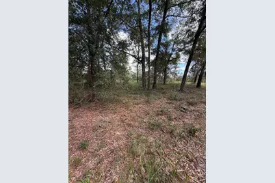 4290 NE 140th Ct, Williston, FL 32696 - Photo 9